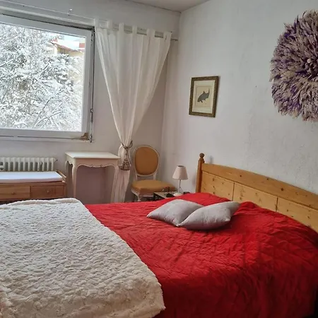 Apartament Charming With Swimming Pool In Argentiere Chamonix